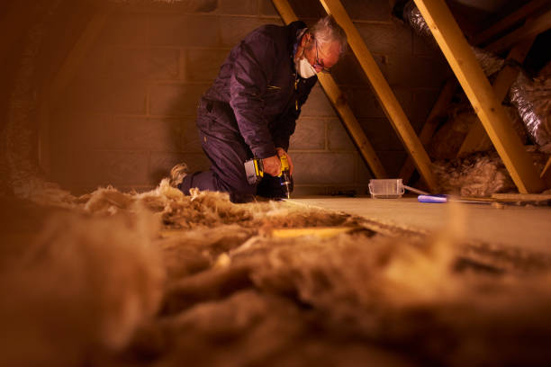 Best Insulation Installation Services in Xenia, OH